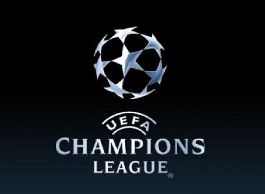 成功实施了 成功实施了